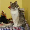 Отзыв от Яна Малышева